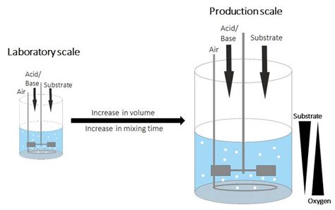 Image result for E. Coli Fermentor