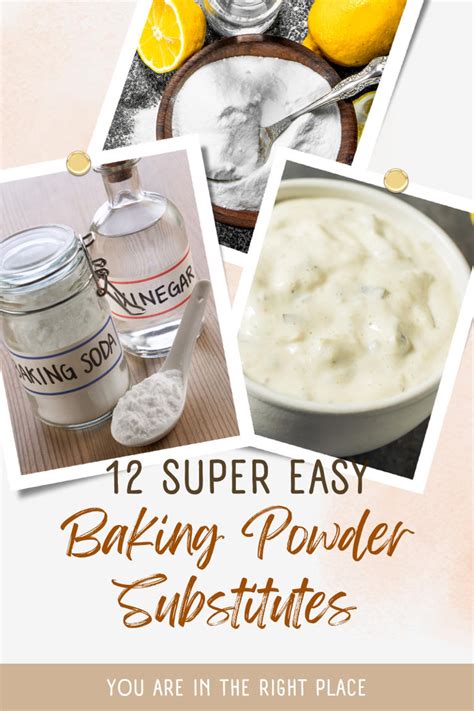 Substitution for Baking Powder に対する画像結果