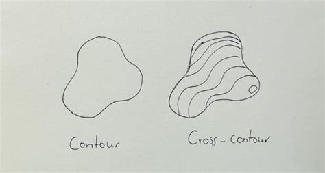 Image result for Cross Contour Drawing Lesson