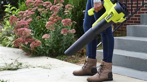 Ryobi Blower Problems എന്നതിനുള്ള ഇമേജ് ഫലം