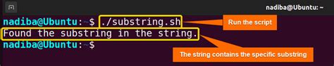 Image result for Shell Script Variable in String