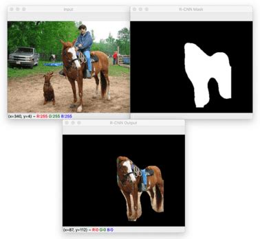 Image result for R Programming Language for GrabCut
