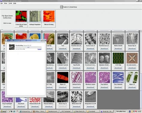 Image result for PC Microscope Software Free
