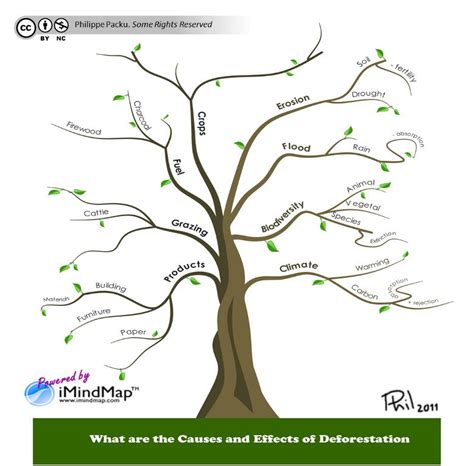 Image result for Tree Mind Map Printable