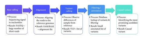 Image result for Capture Sequencing Workflow