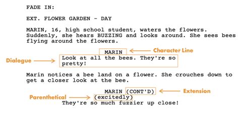 Image result for Screenplay Format Guide