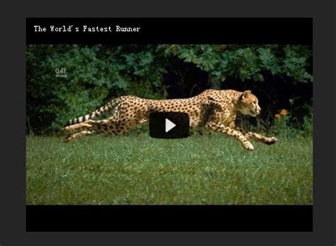 jQuery Grid Table に対する画像結果