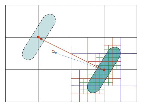 Image result for AMF Fall Models