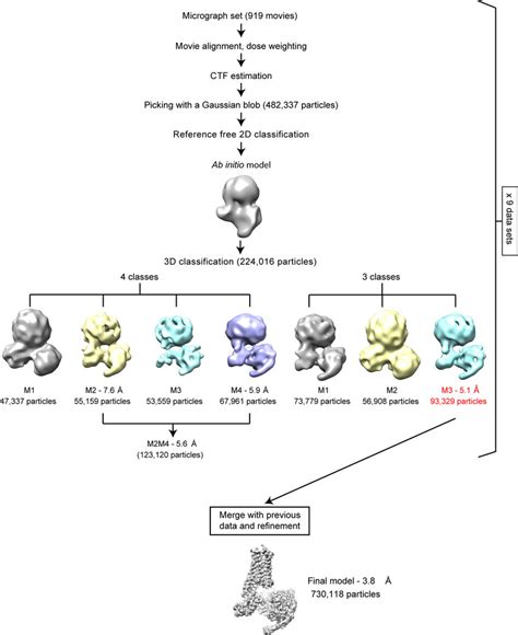 Image result for Microarray Data Flow Chart