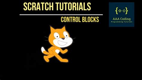 Image result for Scratch Control Blocks