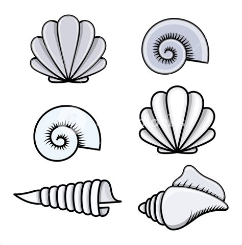 Toradh íomhá ar Line Drawing Cartoon Shell