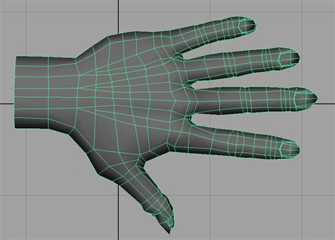 Image result for Base Shape Hand 2D Corel