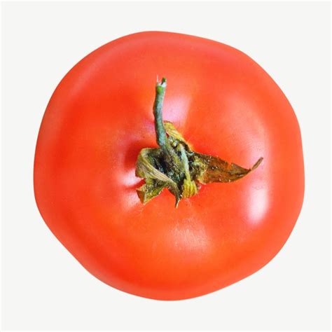 Image result for Python PLT Tomato Red