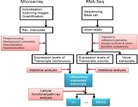 Toradh íomhá ar Transcriptomics RNA-Seq