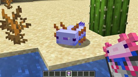 Afbeeldingsresultaten voor Rarest Axolotl Minecraft