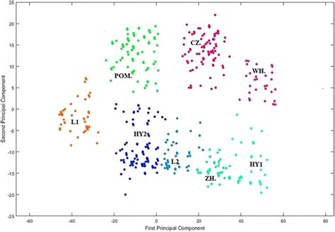 Image result for MATLAB Pca Plot