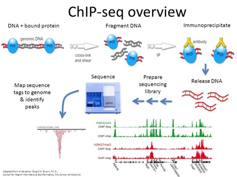 Toradh íomhá ar ChIP-seq