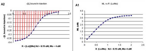 Binding Curve に対する画像結果