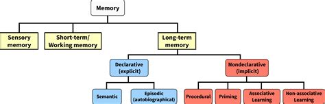 Non Declarative Memory Types に対する画像結果