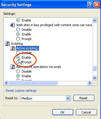 Image result for Enable Scripting