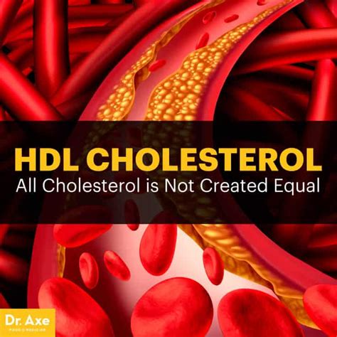 Toradh íomhá ar How to Raise Your HDL Cholesterol