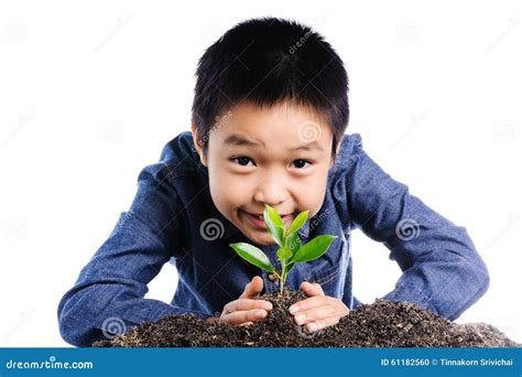 Image result for Plants Grab Boy's Arm