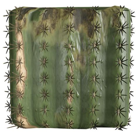 Afbeeldingsresultaten voor Cactus Texture Blender