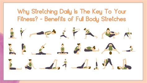 Image result for Stretch for Flexibility