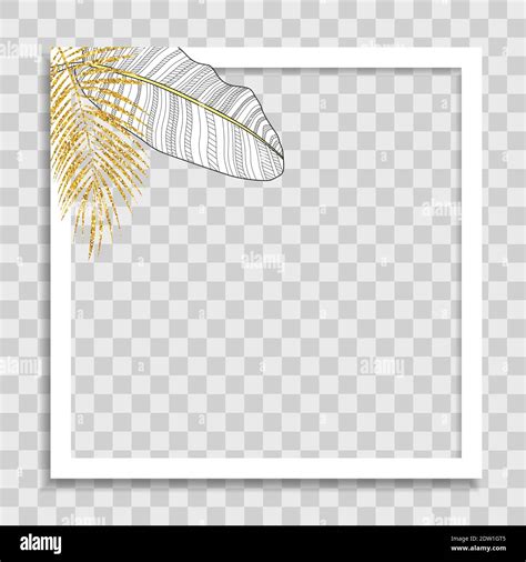 Image result for Empty Blog Post Frame