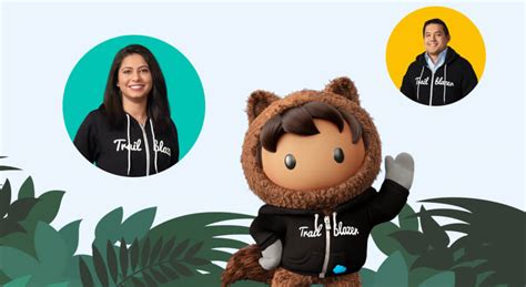 Image result for Salesforce Developer Acknowledgement