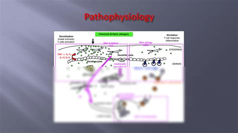 Rhus Dermatitis Face-এর ছবি ফলাফল