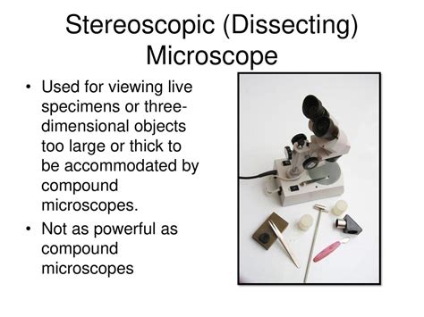 Objects Dissecting Microscope に対する画像結果