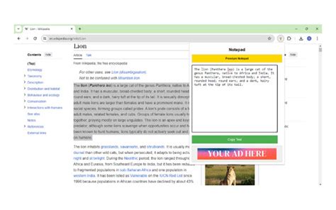 Image result for Notepad Extension