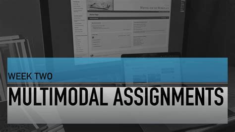 Multimodal Profile Assignment Sheet Example に対する画像結果