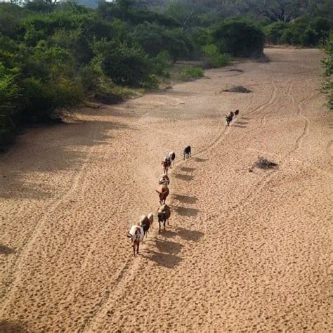 Image result for Stream Type