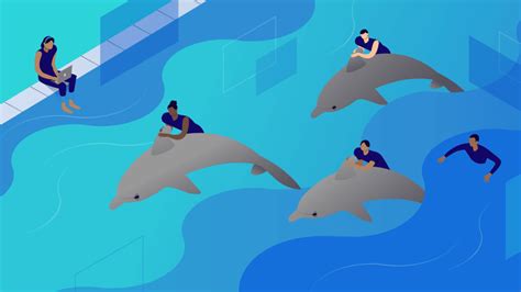 Image result for SQL Fish Symbol