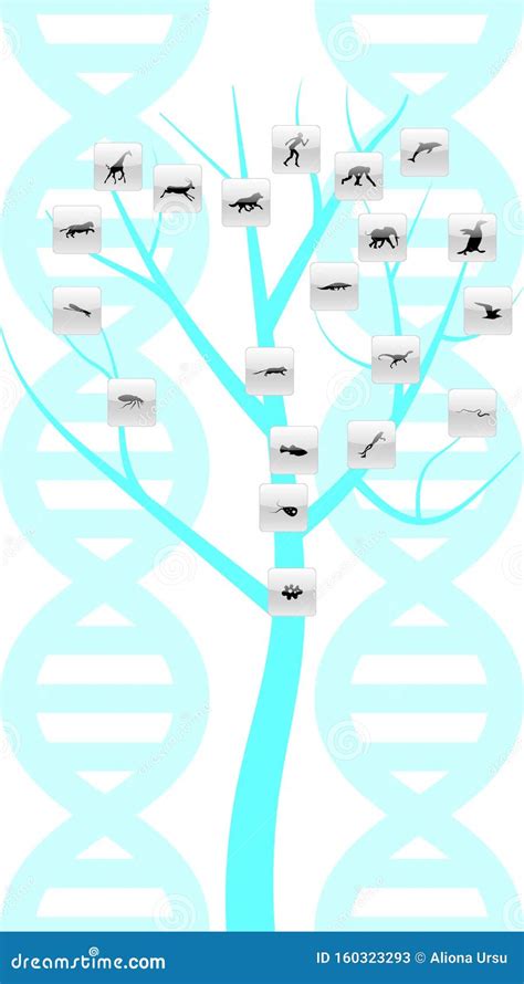 Image result for Evolution Tree Ai Chart Vector