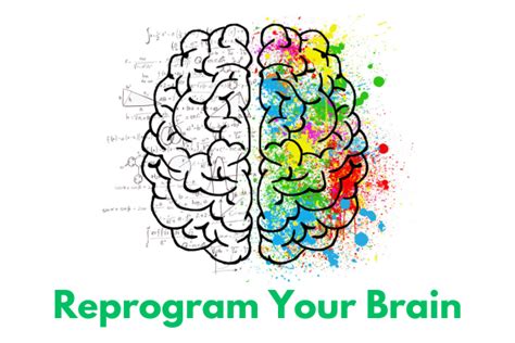 Afbeeldingsresultaten voor Reprogram Your Brain Book