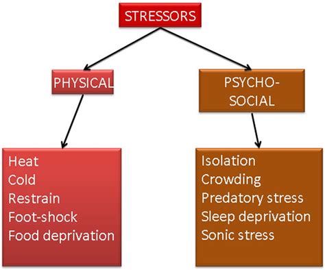Image result for Basic Stress Model