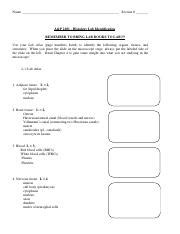 Image result for AP Lab Functional Histology Practicals