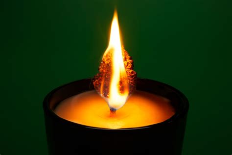 What Turns a Woman On Fast-க்கான படிம முடிவு