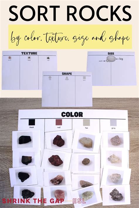 Image result for Types of Rock Sort