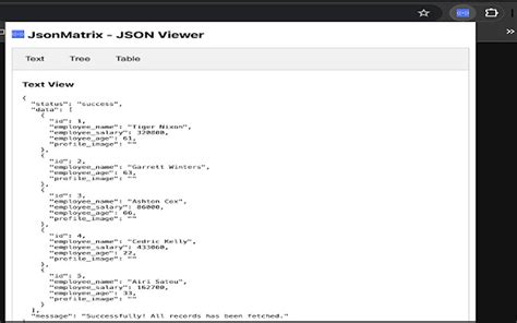 Image result for JSON Viewer Studio