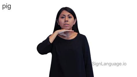 Afbeeldingsresultaten voor ASL Pig