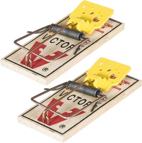 Cool Mouse Traps に対する画像結果