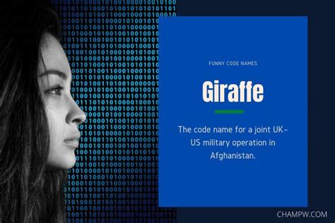 Toradh íomhá ar Code Names for Girls