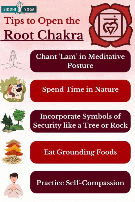 Image result for Root Base Chakra