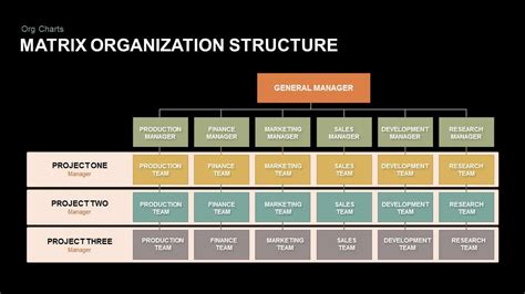 Image result for Matrix Organizational Structure Example