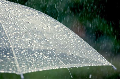 Image result for Rain Cycle