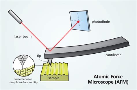 Image result for Atomic Force Microscope Operation Mode